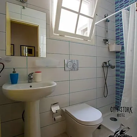 Stork *