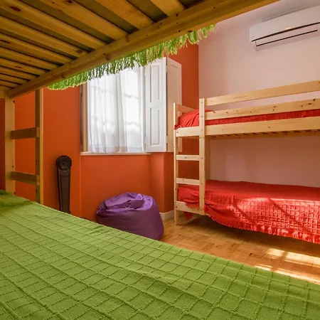 Hostel Stork