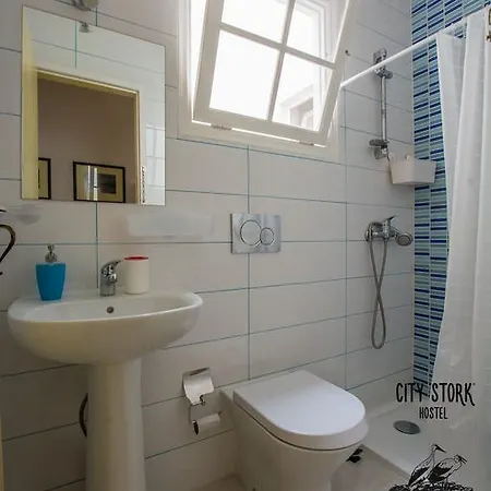 Stork